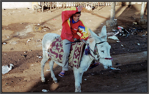 Iraq ... 2003 ... 