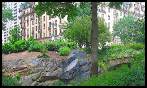 A little piece of green in the bigg city ... 