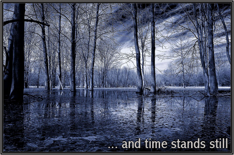 A perfect moment in time ...