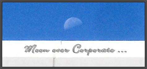 It's odd to see the moon all day long ... August 2006 ... 
