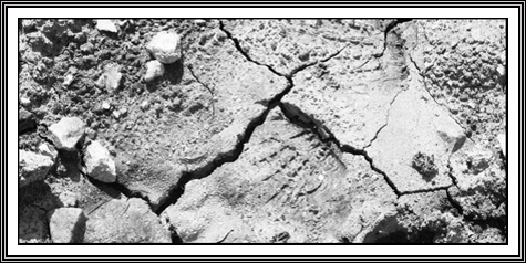 dirt ... endlessly fascinating ... September 2nd, 2006 ... 