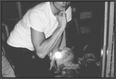 David Week ... day six ... 
