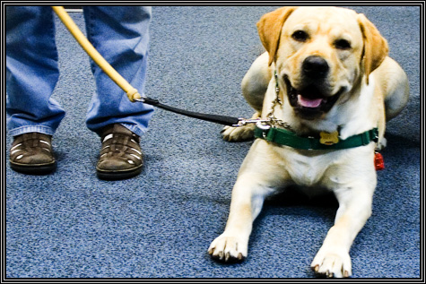 Aww ... Zeek is a loveable dog ... October 2006 ... Aww ... Zeek is a loveable dog ... October 2006 ...