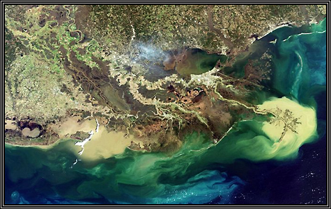 The Mississippi River Delta ... Gulf of Mexico ... February 6, 2007 ... picture from The European Space Agency's Envisat satellite ...  