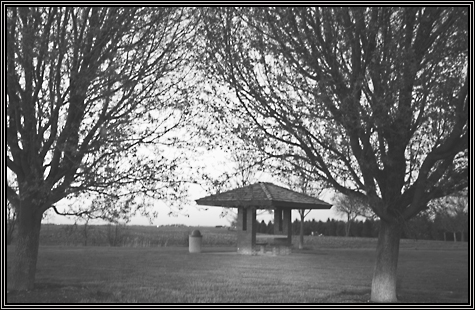 Rest stop on the way home from Carbondale ... April 2007 ... 