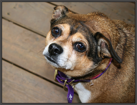 Mia Pia ... LOL ... beer barrel on legs ... May 2007 ...