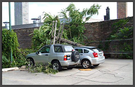 A couple pictures from Thursday's storm and the aftermath ... A couple pictures from Thursday's storm and the aftermath ...
