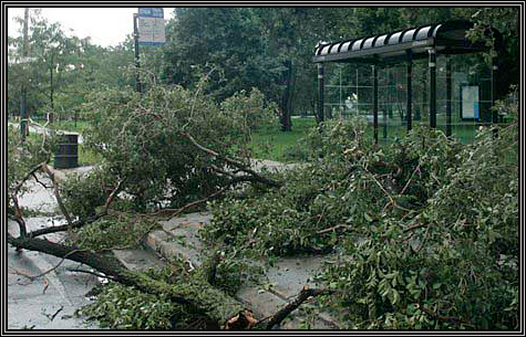 A couple pictures from Thursday's storm and the aftermath ... A couple pictures from Thursday's storm and the aftermath ...