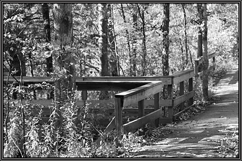 One of the bridges at Giant City ... October 7, 2007 ... One of the bridges at Giant City ... October 7, 2007 ...