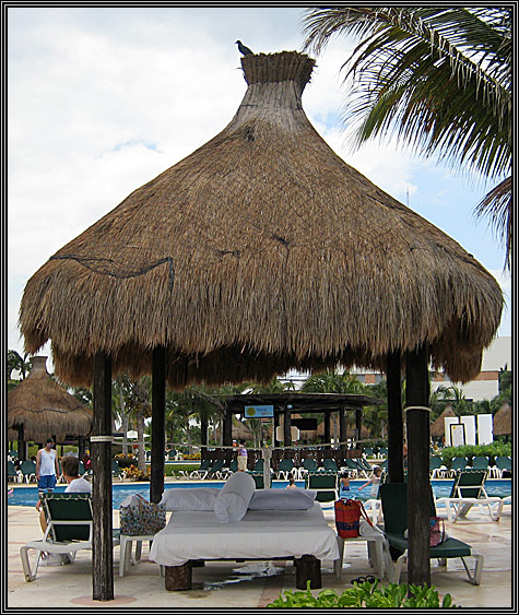 We rented a palapa overlooking the beach one day ... Tuesday was a fun day ... November 6, 2007 ... We rented a palapa overlooking the beach one day ... Tuesday was a fun day ... November 6, 2007 ...