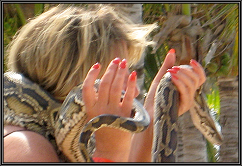 Photo op for Sue and Laura ... gorgeous man with a big snake and a friend to take your picture ... how could you go wrong ... November 6, 2007 ... 