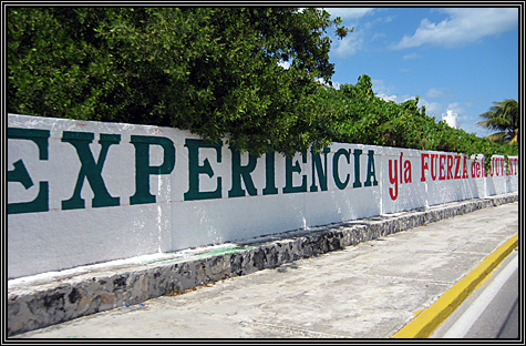 More from the back of a golf cart ... Isla Mujeres .. November 9, 2007 ... More from the back of a golf cart ... Isla Mujeres .. November 9, 2007 ...