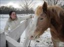 The Equestrian Center ... December 30, 2007 ... 