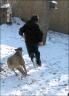 Ben ... December 25, 2007 ...