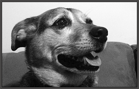 Cleo ... January 19, 2008 ... 
