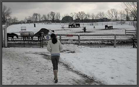 Carissa ... Equestrian Center ... December 2007 ...