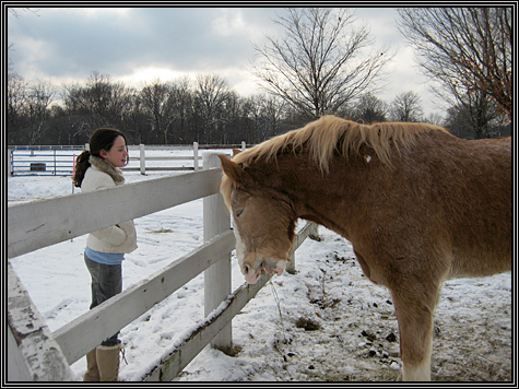 Carissa ... Equestrian Center ... December 2007 ...