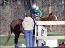 Riding lesson number 2 ... Carissa ... April 5, 2008 ...