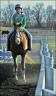 Riding lesson number 2 ... Carissa ... April 5, 2008 ...