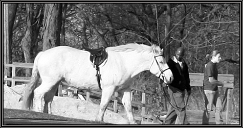 Danada ... riding lessons ... April 20, 2008 ... 