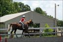 Carissa ... horseback riding lesson number eleven ... June 22, 2008 ...