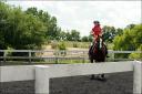 Carissa ... horseback riding lesson number eleven ... June 22, 2008 ...