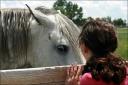 Even more pictures taken at Danada ... June 22, 2008 ...