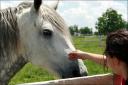 Even more pictures taken at Danada ... June 22, 2008 ...