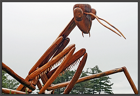 Morton Arboretum ... June 29, 2008 ... this sculpture welcomes you ... it's pretty big ... Morton Arboretum ... June 29, 2008 ... this sculpture welcomes you ... it's pretty big ...