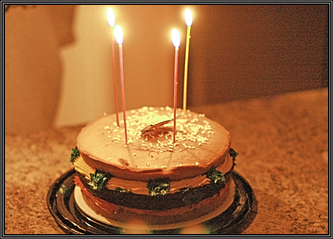 Laura's birthday cake looked like a big hamburger ... July 5, 2008 ... Laura's birthday cake looked like a big hamburger ... July 5, 2008 ...
