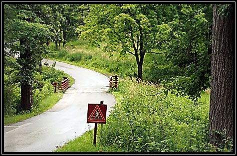 Morton Arboretum ... 