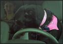 Shelby was a naughty  girl on the way to camp ... July 19, 2008 ...