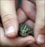 Ahhhh ... look what Zack found ... ewww ... July 2008 ... Camp Nawakwa ...