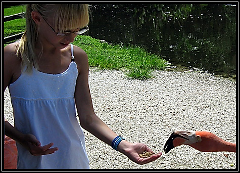 Katie on vacation ... 2008 ...
